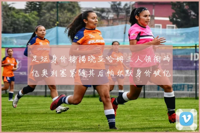 足坛身价榜揭晓亚哈姆三人领衔两亿奥利塞紧随其后帕尔默身价破亿